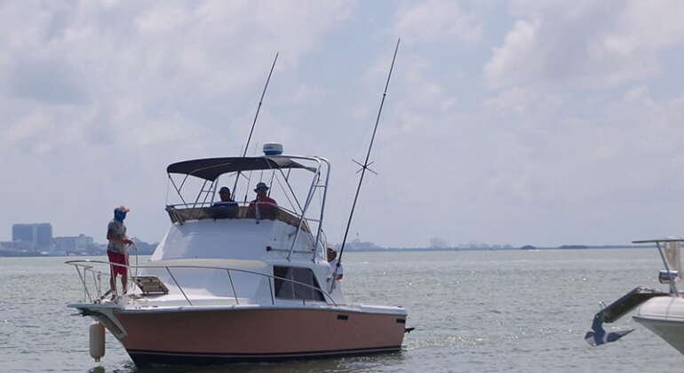 Billfish Fishing Charter Cancun Affordable Private Trip
