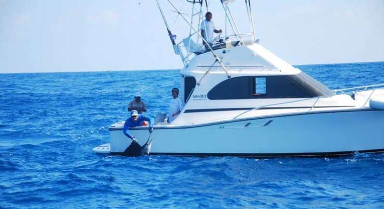 Grand Slam Fishing Charter Cancun Private Sportfishing