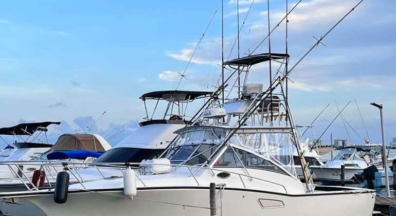 ShowTime Fishing Charter Cancun Albemarle 350
