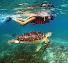 cancun snorkeling